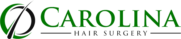 CHS-Logo-2019-web-Horizontal-586